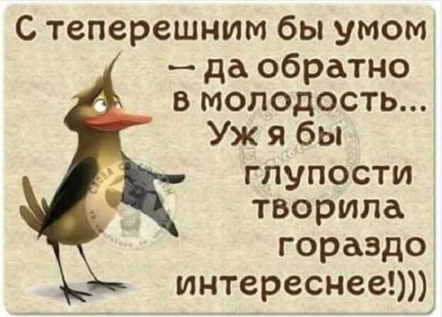 15 искрометных и очень жизненных шуток для прекрасного настроения!