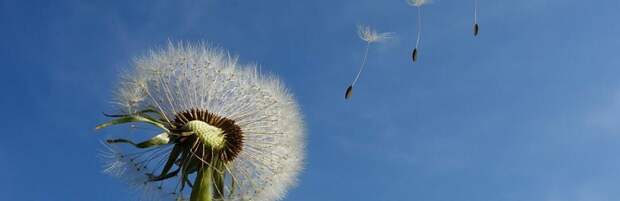 Штормовое предупреждение объявлено в Мангистауской области