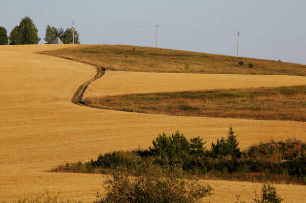 Татарстанда җитештерелгән авыл хуҗалыгы продукциясе күләме 400 млрд сумнан арткан