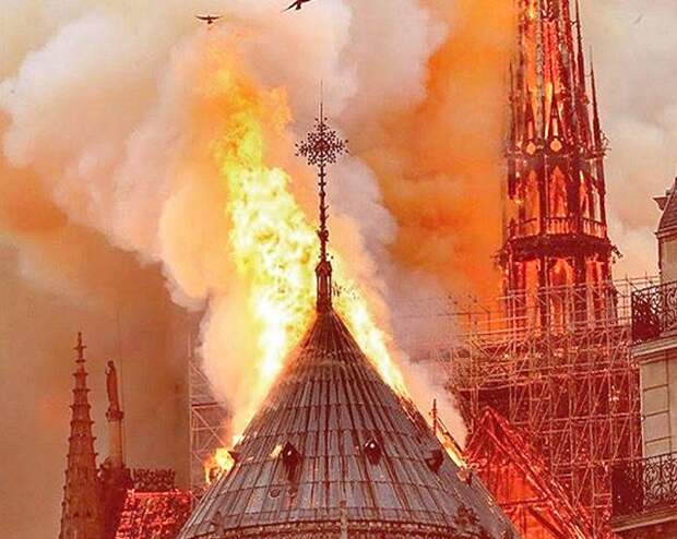 Украина в центре скандала: Франция возмущена реакцией на пожар