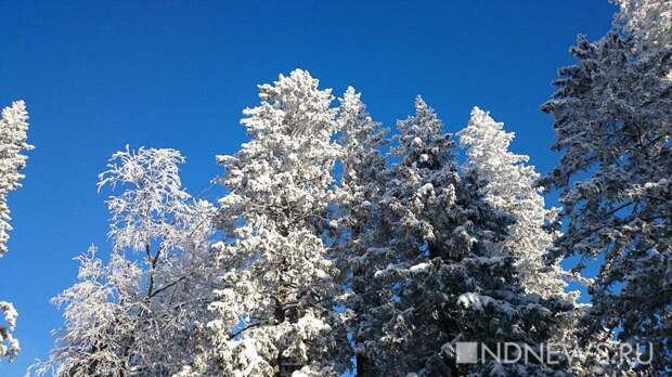 Ночью в Свердловской области было до -44