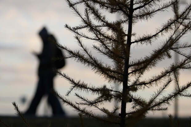 Неблагоприятные погодные явления ожидаются с 1 ноября в Новосибирске