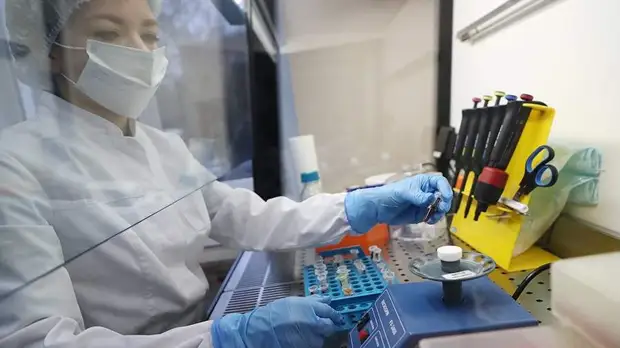 Мыслить штаммами: в РФ разработали реактивы для определения видов коронавируса