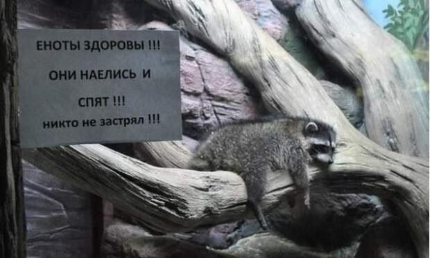 Очень низко над землей летел беспилотник. За ним, отчаянно матерясь, бежал пилот…