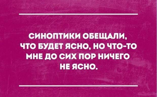 Немного сарказма в забавных открытках и смс переписках!