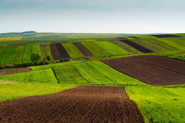 Весна в Карпатах