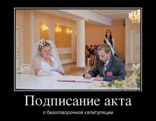 Немного новых демотиваторов