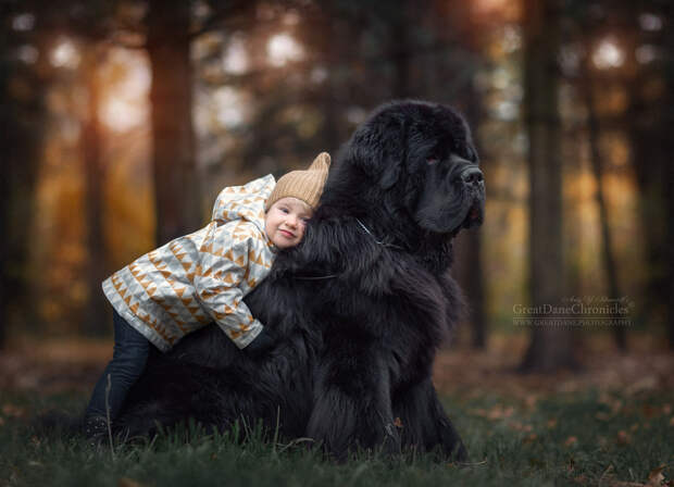 Энди Селиверстов фотографии детей и их больших собаках 17