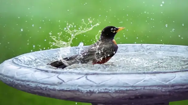 Василий Парильщик: традиции и приметы на удачу 25 апреля 2022 года