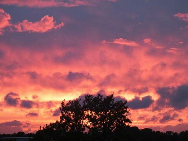 Учёные подготовили прогноз магнитных бурь на февраль