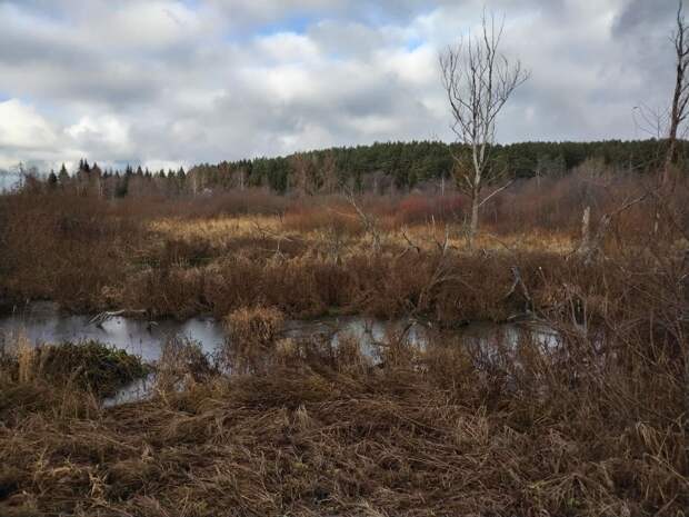 В Ижевске продолжают искать женщину, которая ушла из дома в декабре прошлого года