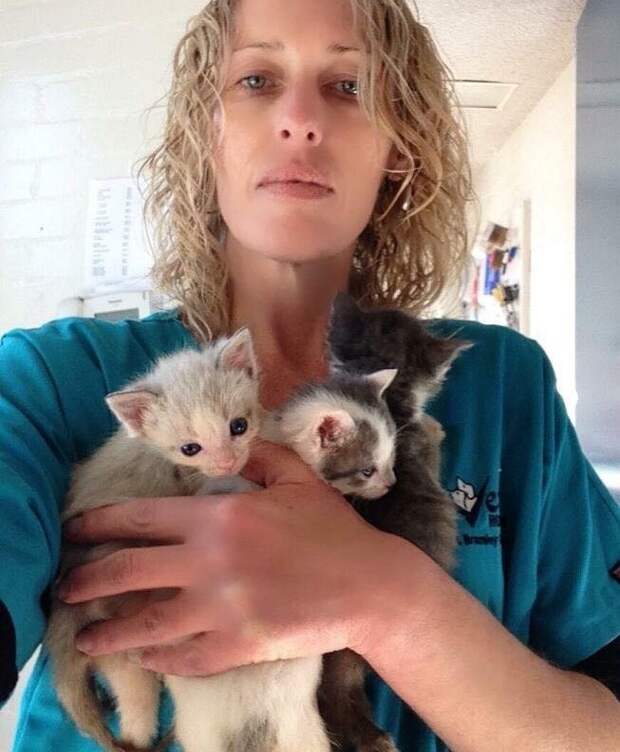 Без кота и жизнь не та