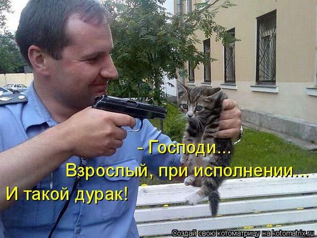 Лучшие котоматрицы недели (50 фото)