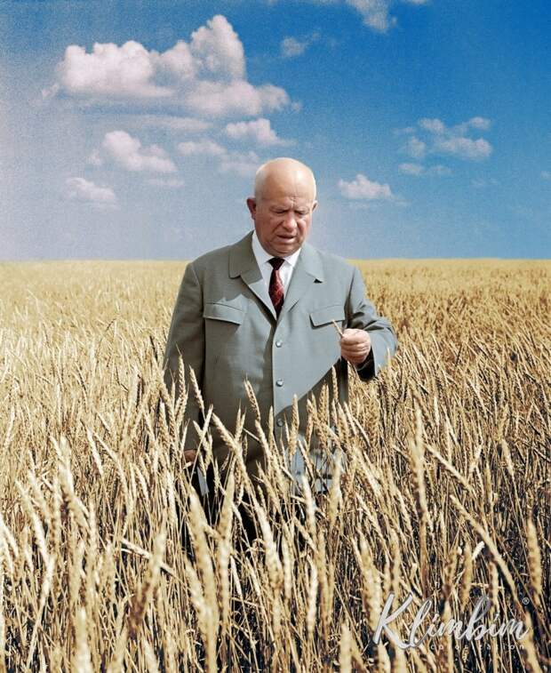 Никита Хрущев в поле, Казахстан. Фото Валентина Соболева история, прошлое, фотография