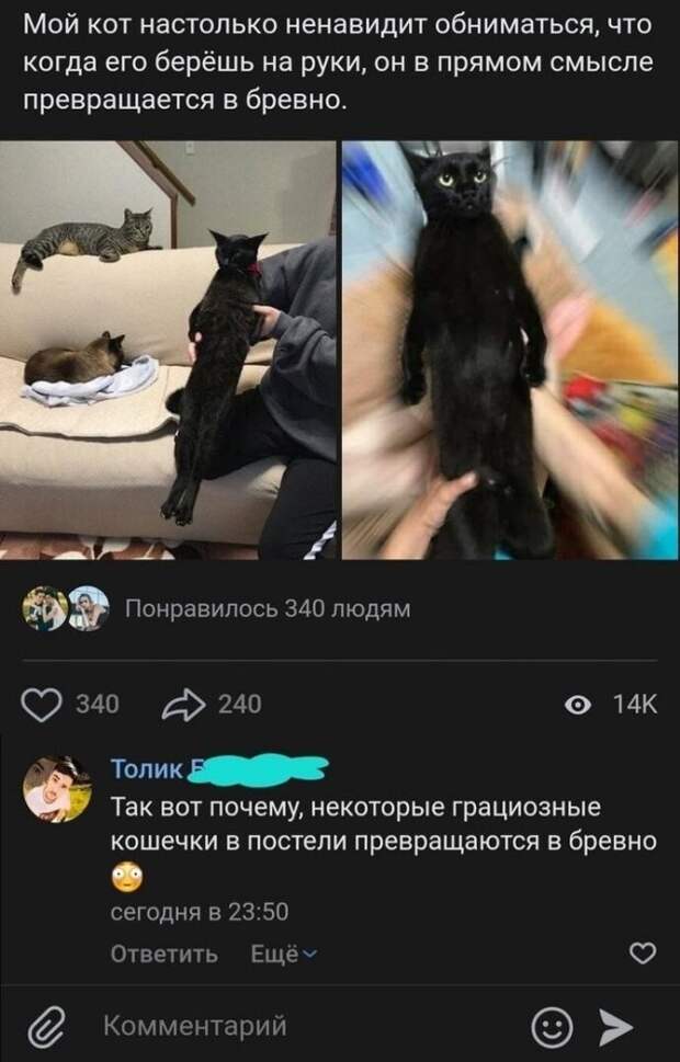 Немного шуток на тему отношений между мужчинами и женщинами