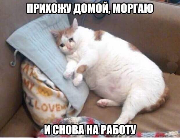 Картинки и приколы из социальных сетей (40 фото)