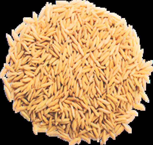 Продукты и пищевые добавки, которых не стоит бояться