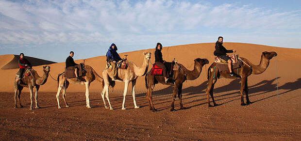 Sahara Desert Sahara Desert