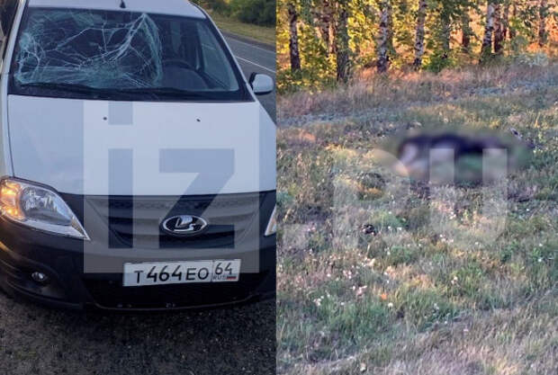 photo_2024-08-27_19-44-06