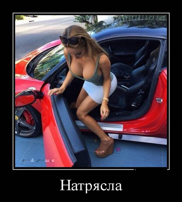 Демотиваторы (30 фото)