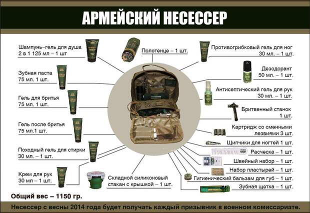 Подетально: жизнь армейская в инфографике