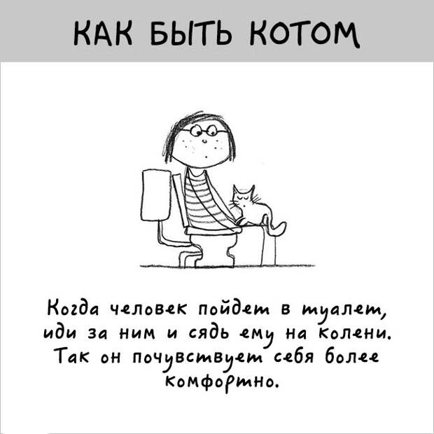 как правильно быть котом
