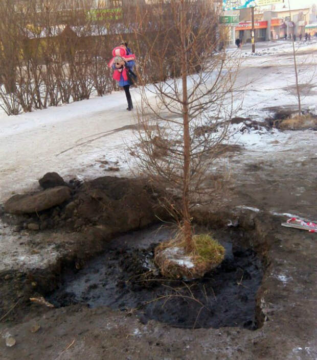 Сделано на совесть. Сделано на совесть.