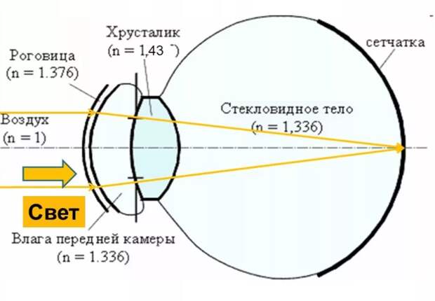 Глаз как оптическая система. Дефекты зрения и методы их коррекции.