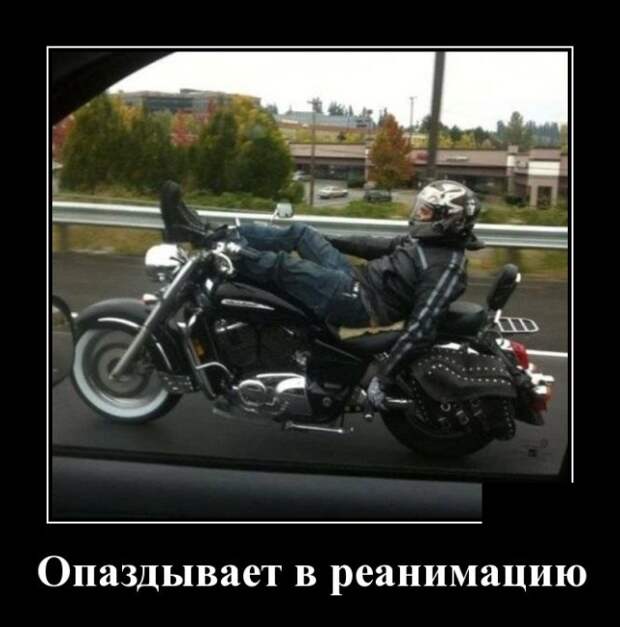 Демотиваторы (30 фото)