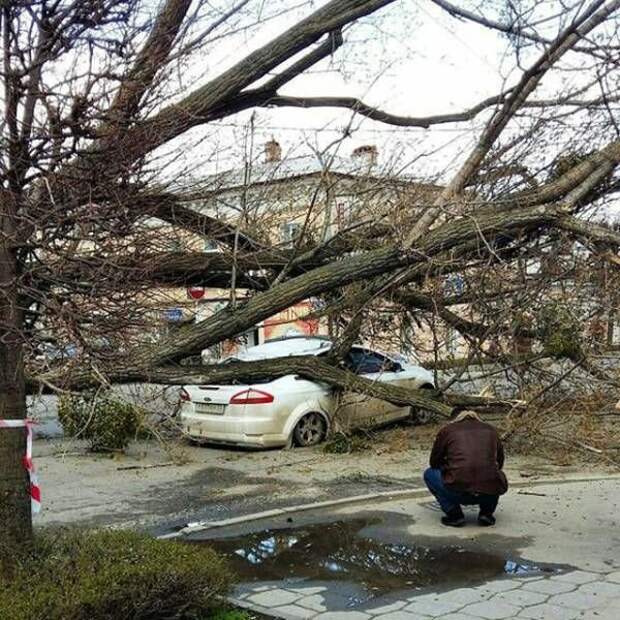 Прикольные картинки абавсём:D (25.03.16)