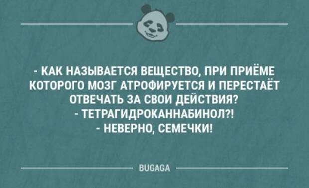 Прикольные картинки и фото 9 сентября (22 шт) Прикольные картинки и фото 9 сентября (22 шт)