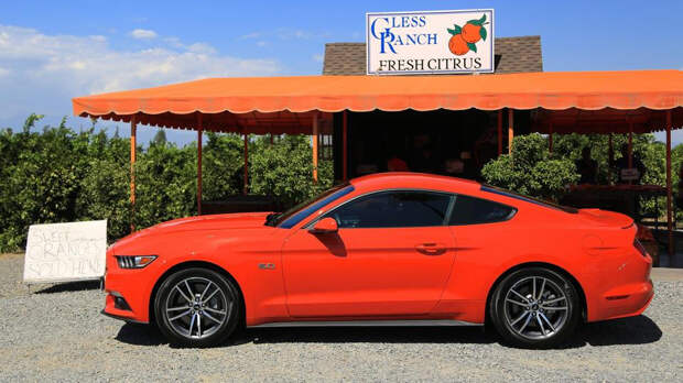 Топ-10 хэллоуинских автомобилей 2015 Ford Mustang Цвет: оранжево-коричневый (Ford Motor)