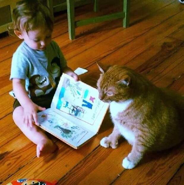 Нежеланный кот стал опекуном этого маленького мальчика, следуя за ним повсюду животные, коты, факты