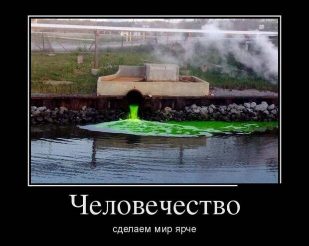 Демотиваторы (30 фото)