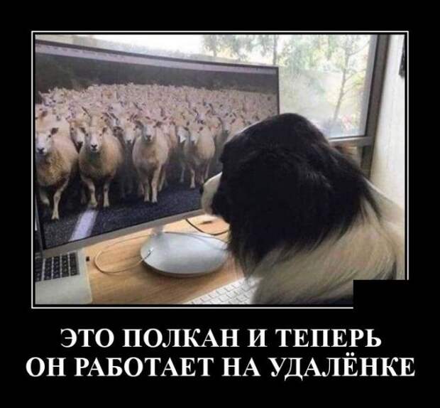 demotivatory-demotivator-smeshnye-demotivatory-demotivator-so-smyslom