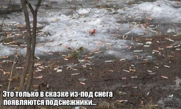 Весна уже пришла? Или пока еще нет? (23 фото)