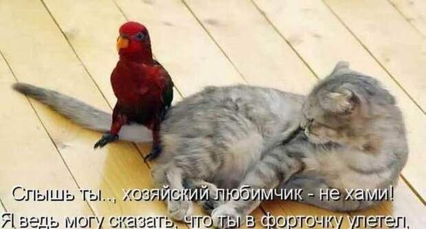 Мысли вслух :)