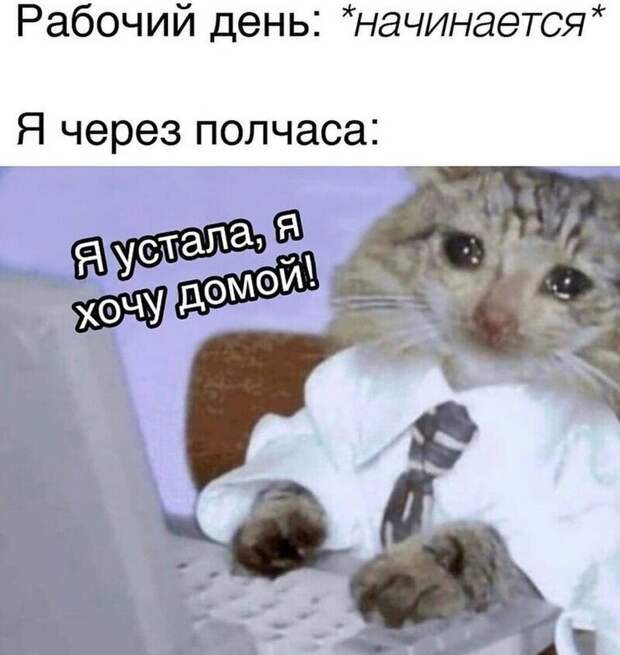 А как вам работается по жизни? А как вам работается по жизни?