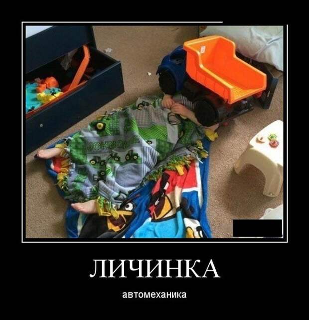 Демотиваторы (30 фото)
