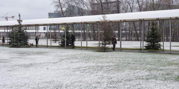 Синоптики предупредили москвичей о ложном начале зимы