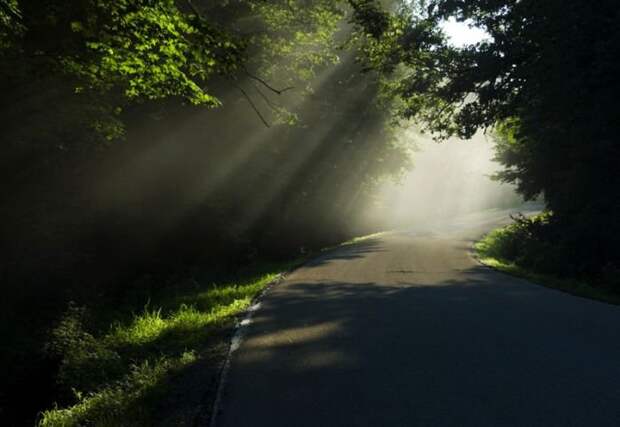 http://ex.by/uploads/posts/2011-02/1298842606_beautiful_roads_27.jpg