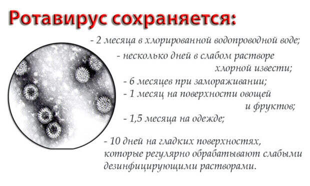 Сохранность ротавирусной инфекции