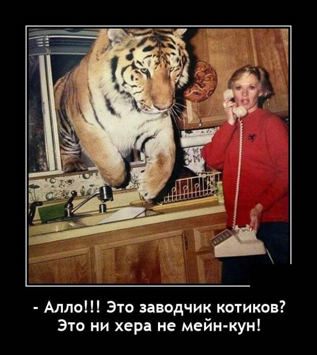 Демотиваторы 2 ноября 2021 года