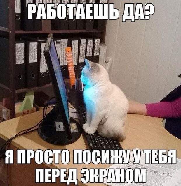 Позитивный пост+111 Позитивный пост+111