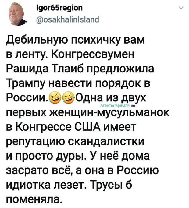 Политические комментарии из инета