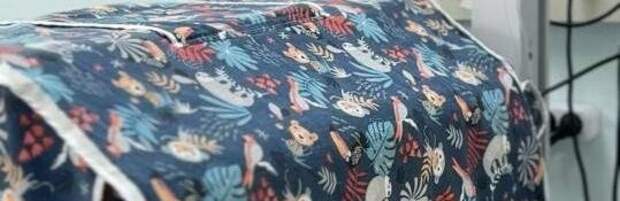 В Алматы врачи спасли ребёнка, родившегося с весом 730 граммов