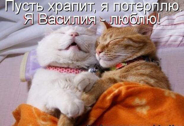 невыдуманные истории