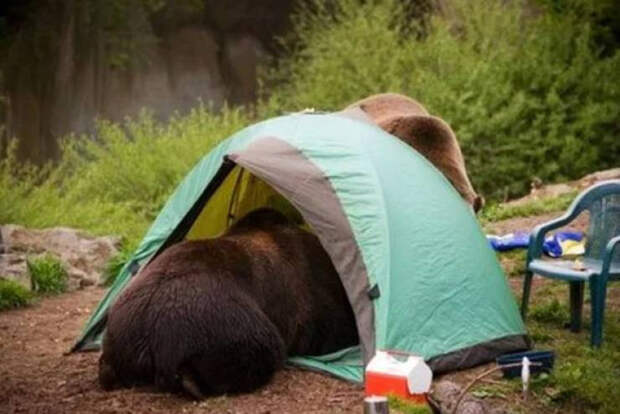 Они пошли в поход, но что-то пошло не по плану