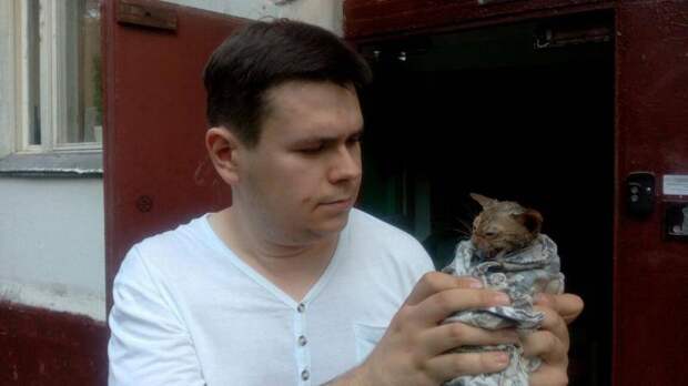 В Москве спасатели достали котенка из канализационной трубы