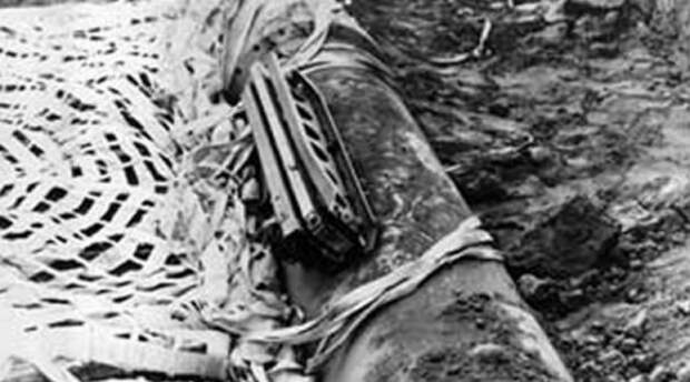 Почти война Один из самых серьезных инцидентов такого рода произошел в 1961 году. Бомбардировщик с двумя водородными бомбами на борту внезапно разрушился прямо в воздухе. Одна бомба удачно легла в болото. У второй открылся парашют и при падении отключились три из четырех предохранителей. Отключись четвертый — обычный низковольтный переключатель, и восточное побережье США украсил бы ядерный гриб на 4 мегатонны.